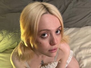 Hd real webcam FlexiCassie